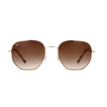 Ray-Ban 3682 bruine zonnebril • Frames and Faces