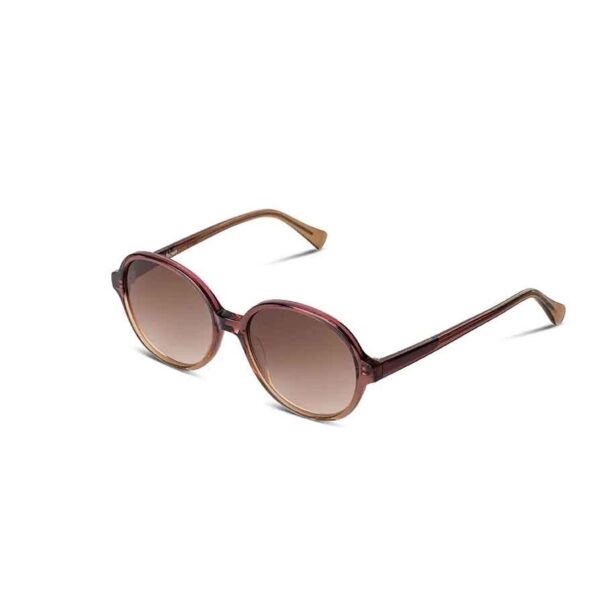 Ross & Brown Capri III roze zonnebril • Frames and Faces