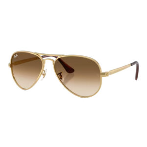 Ray-Ban 3925 goudkleurige zonnebril • Frames and Faces