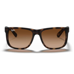Ray-Ban 4165 havana zonnebril • Frames and Faces
