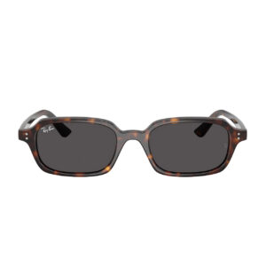 Ray-Ban 4455 havana zonnebril • Frames and Faces
